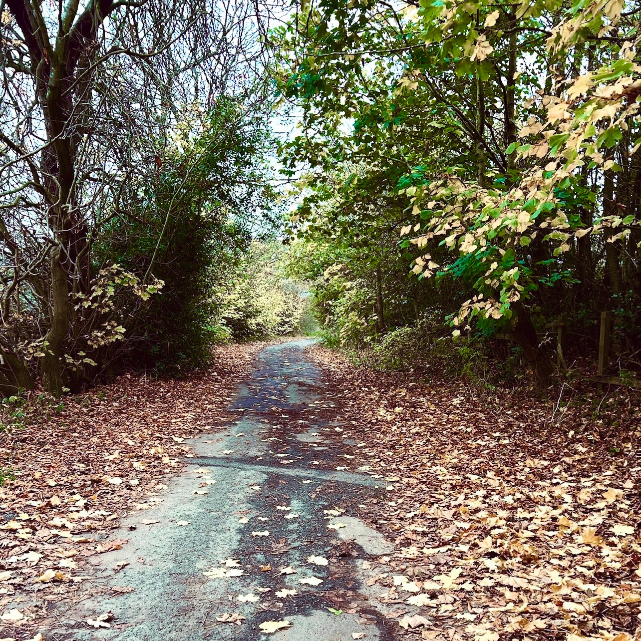 (报名中) 2026.04.11