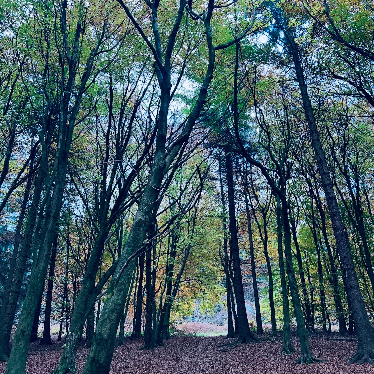 (报名中) 2026.04.11