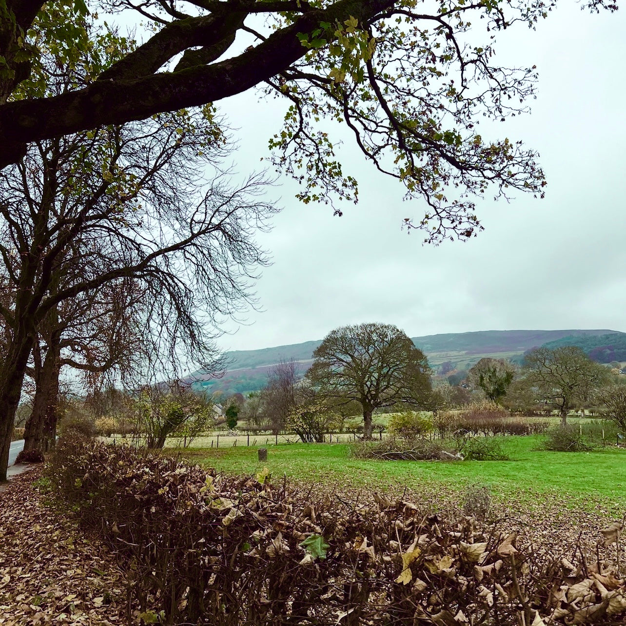 (报名中) 2026.04.11