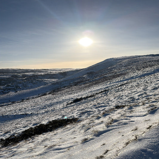 (报名中) 2026.01.17