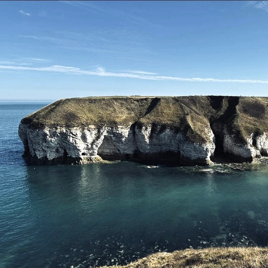 (报名中) 2025.11.22