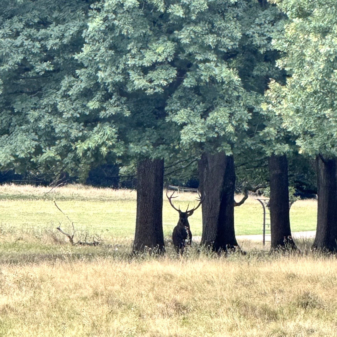 (报名中) 2025.11.29