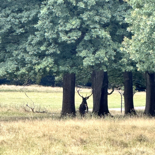 (报名中) 2025.11.29