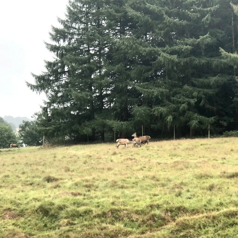 (报名中) 2025.11.29