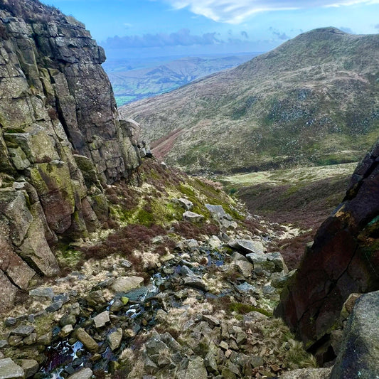 (报名中) 2026.02.28