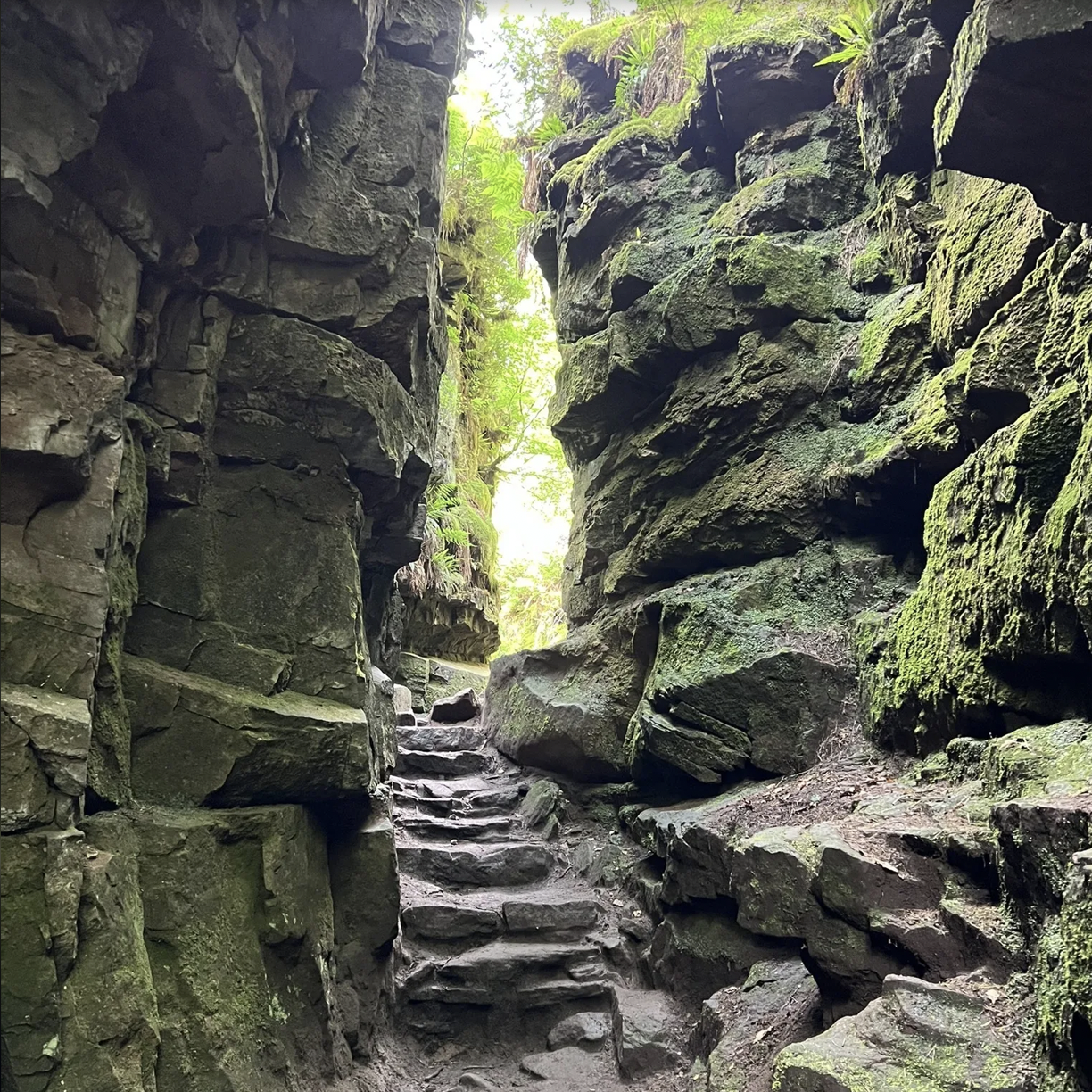 (报名中) 2026.03.21