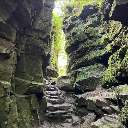 (报名中) 2026.03.21