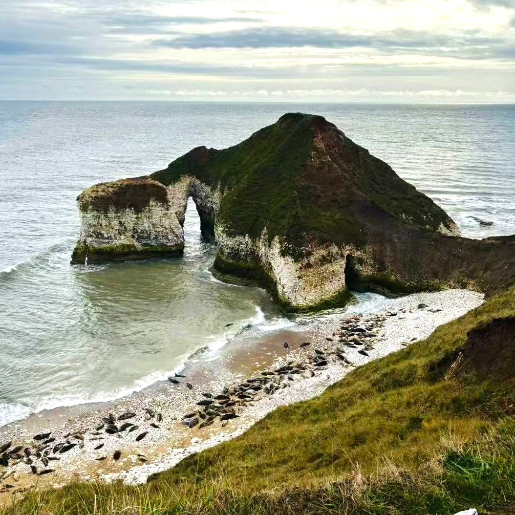 (报名中) 2025.11.22